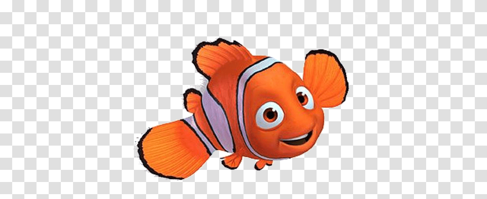 Fish, Animal, Goldfish, Amphiprion Transparent Png