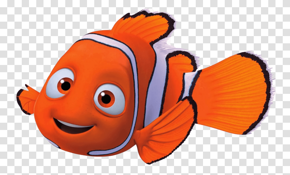 Fish, Animal, Goldfish, Bird Transparent Png