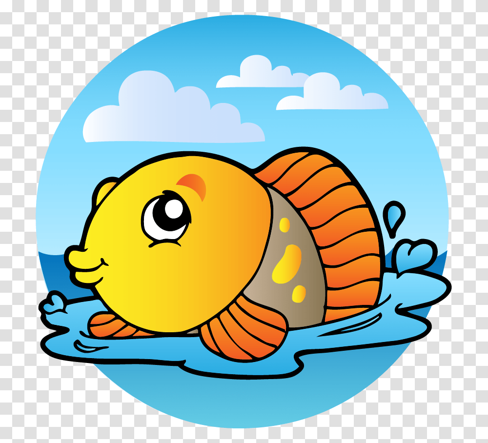 Fish, Animal, Invertebrate, Snail, Sea Life Transparent Png