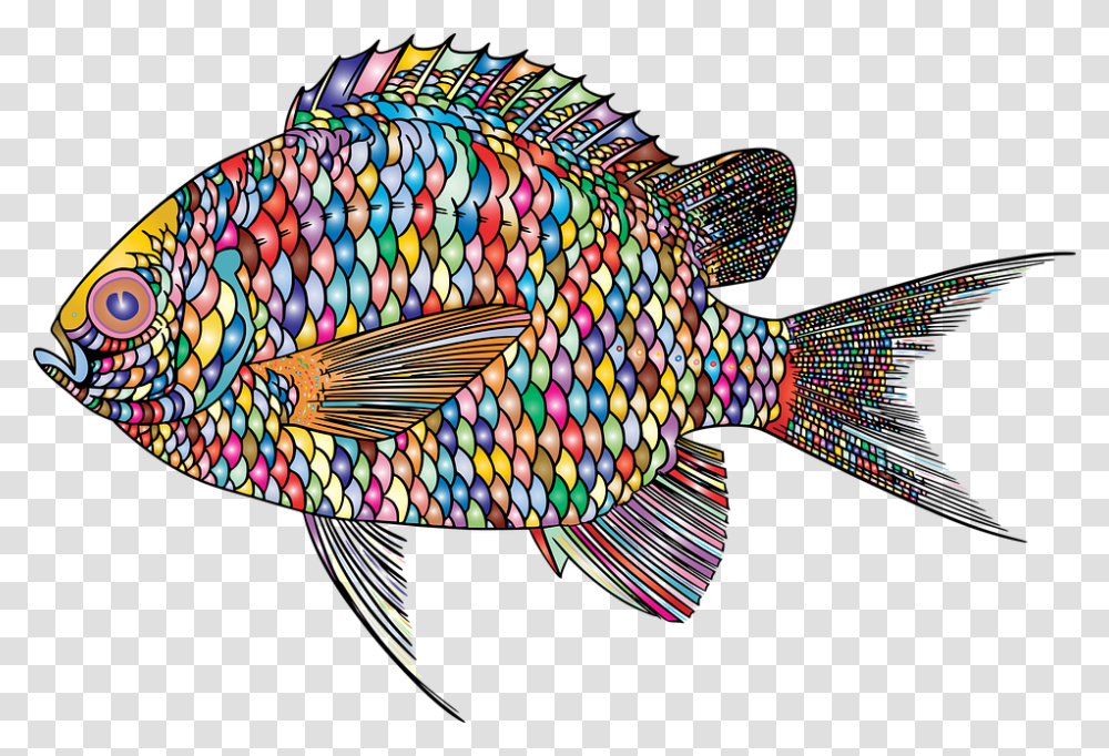 Fish Animal Ocean Underwater Abstract Colorful Illustration, Dinosaur, Reptile, Angelfish, Sea Life Transparent Png