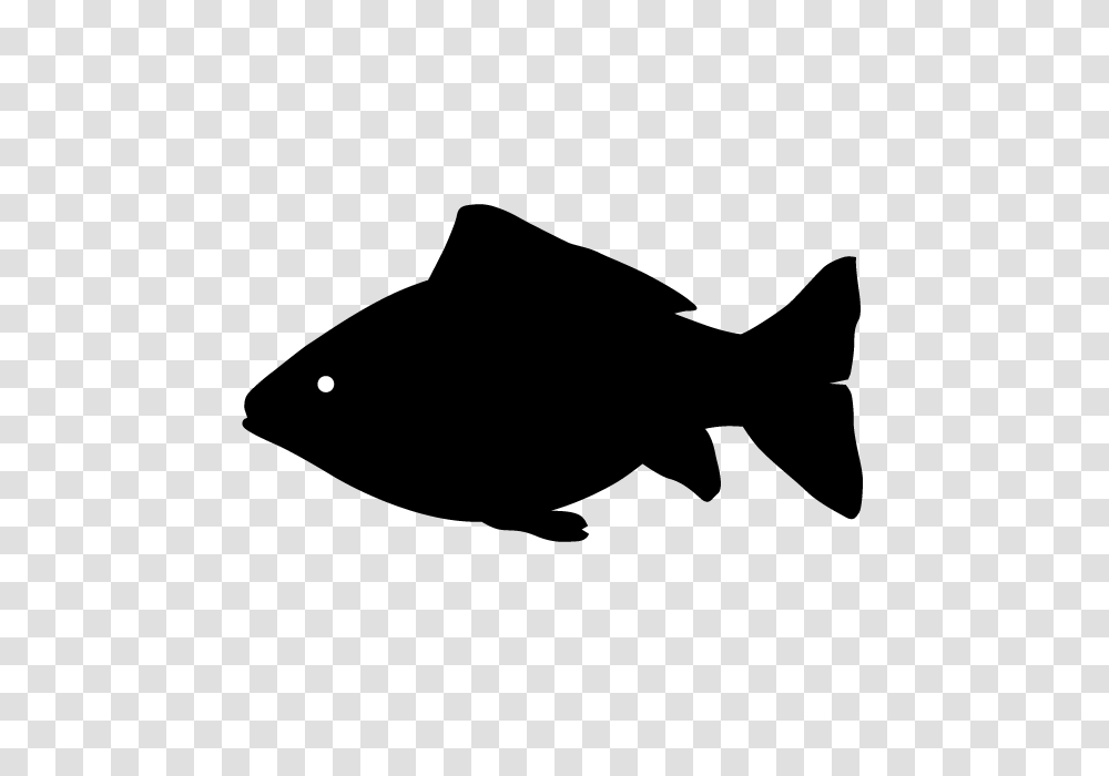 Fish Animal Silhouette Free Illustrations, Nature, Outdoors, Outer Space, Astronomy Transparent Png