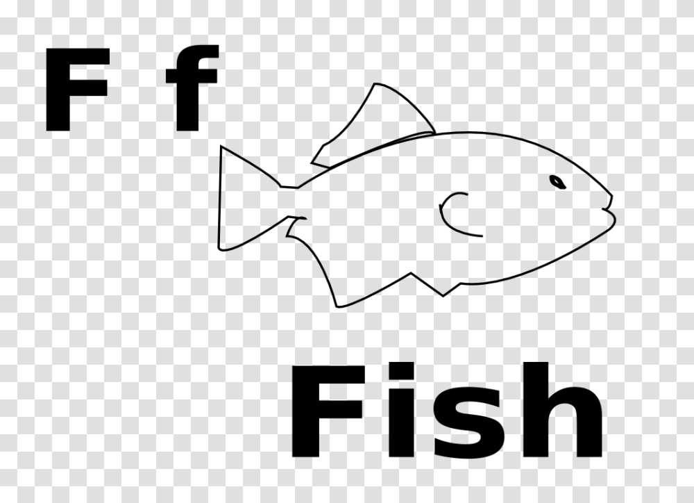 Fish, Animal, Sea Life, Halibut Transparent Png