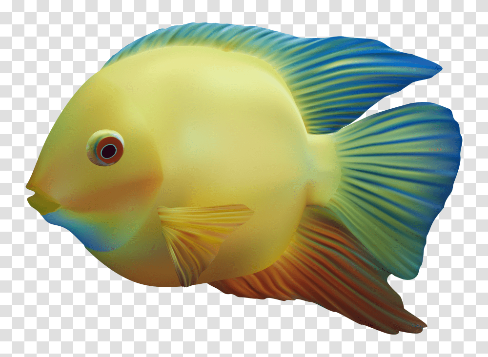 Fish, Animals, Goldfish, Bird, Amphiprion Transparent Png