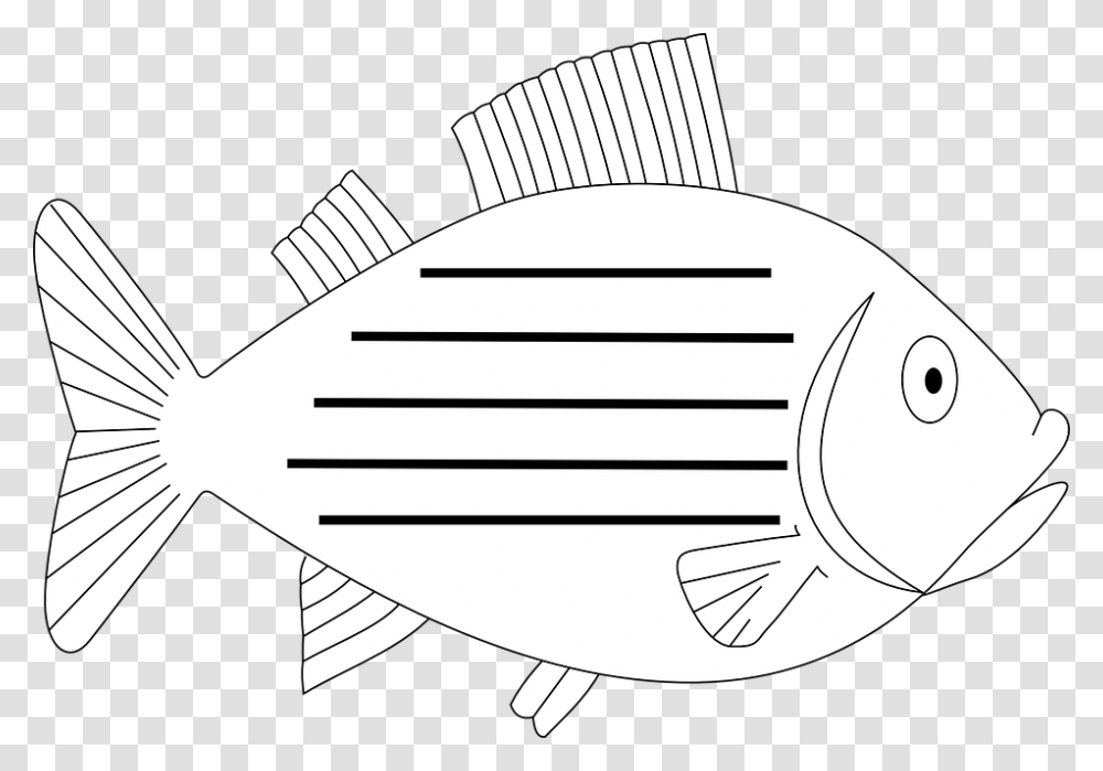 Fish Aquatic Fin Vertebrate Sea Swim Animal Pomacentridae, Label, Hammer, Leisure Activities Transparent Png