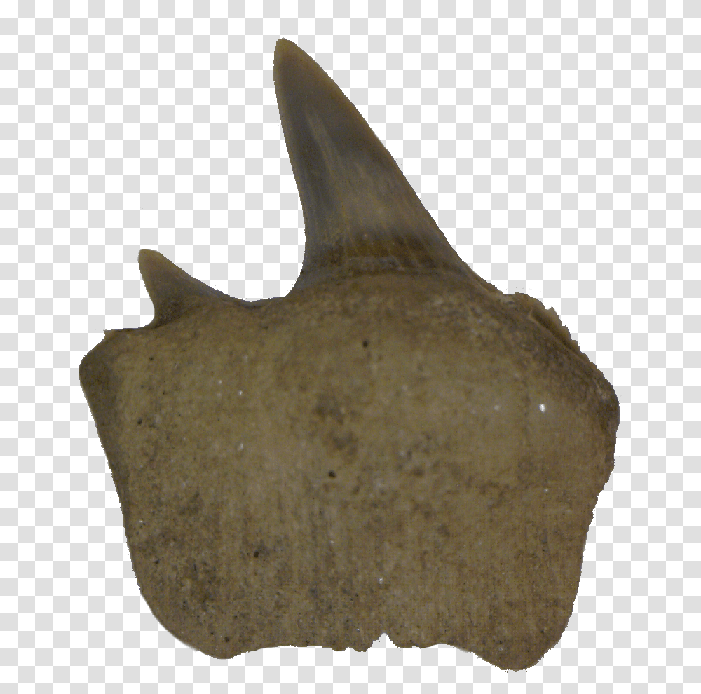 Fish, Axe, Tool, Animal, Sea Life Transparent Png