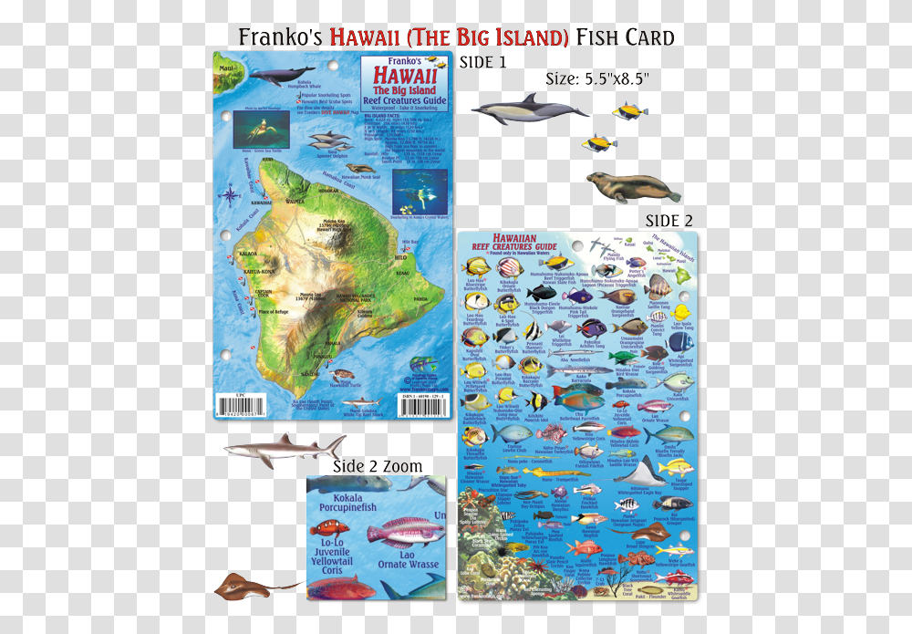 Fish Big Island Hawaii, Map, Diagram, Atlas, Plot Transparent Png