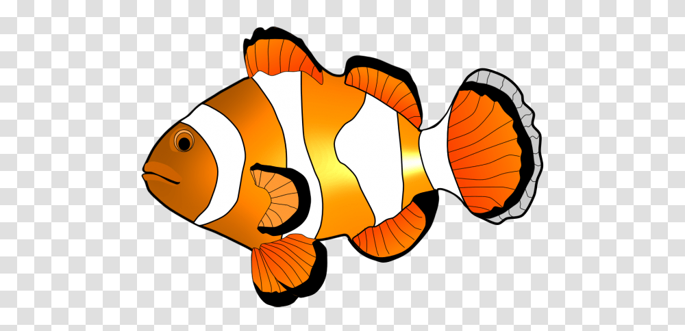 Fish Clip Art, Animal, Amphiprion, Sea Life, Goldfish Transparent Png