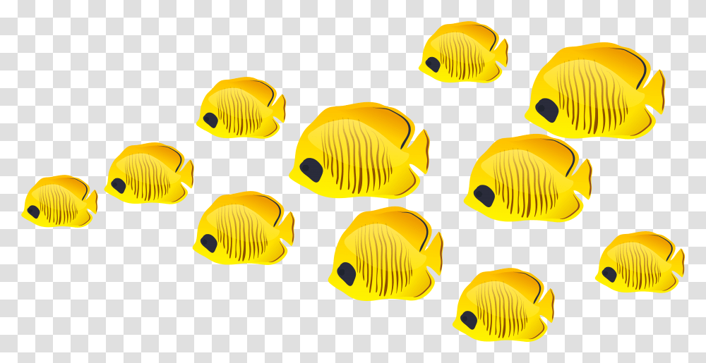 Fish Clip Art Background Fishes Clipart, Angelfish, Sea Life, Animal, Rock Beauty Transparent Png