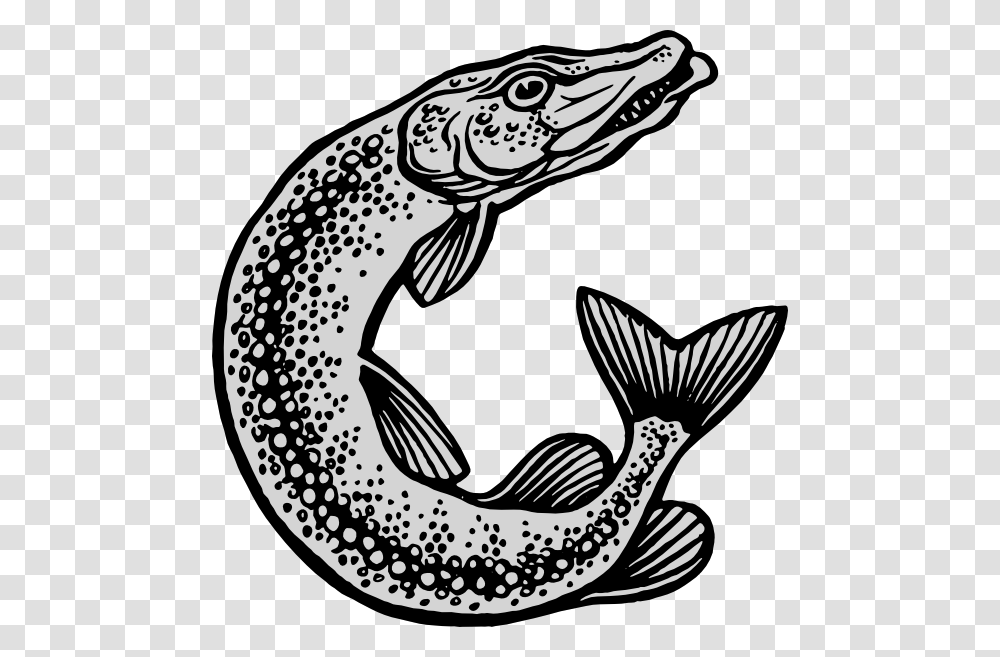 Fish Clip Art Free Vector, Animal, Eel, Bird, Trout Transparent Png
