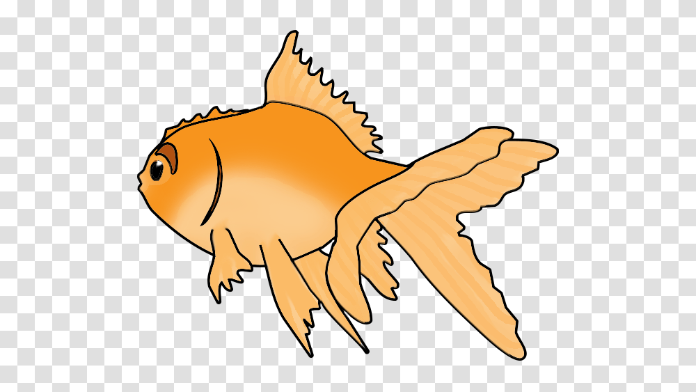 Fish Clip Art, Goldfish, Animal Transparent Png