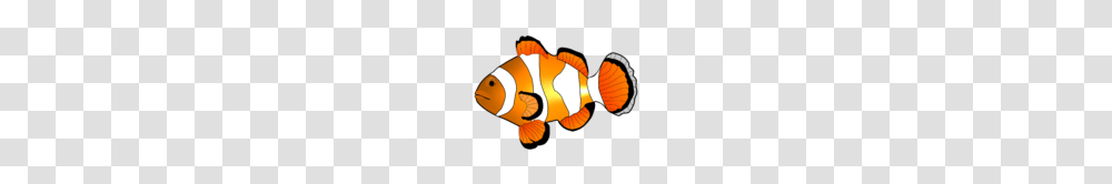 Fish Clip Art Image M Pictures, Amphiprion, Sea Life, Animal, Person Transparent Png