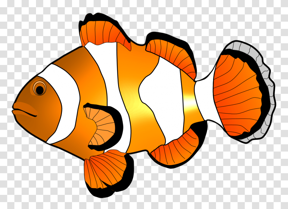 Fish Clip Art, Peel, Animal, Amphiprion, Sea Life Transparent Png