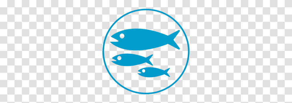 Fish Clip Art, Tuna, Sea Life, Animal, Mullet Fish Transparent Png