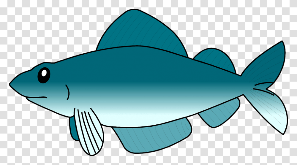 Fish Clipart, Animal, Sea Life, Shark, Cod Transparent Png