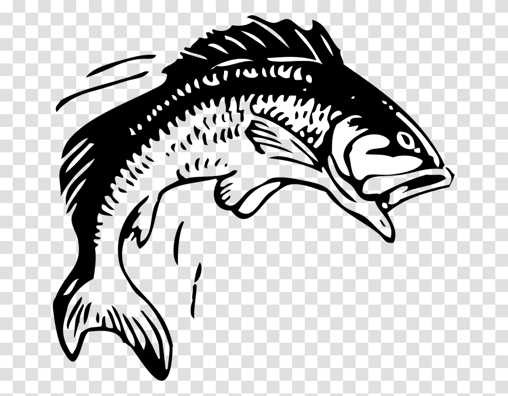 Fish Clipart Black And White, Reptile, Animal, Dinosaur, Silhouette Transparent Png