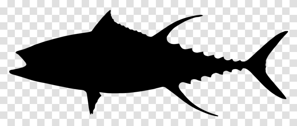 Fish Clipart Black And White Tuna Silhouette, Gray, World Of Warcraft Transparent Png