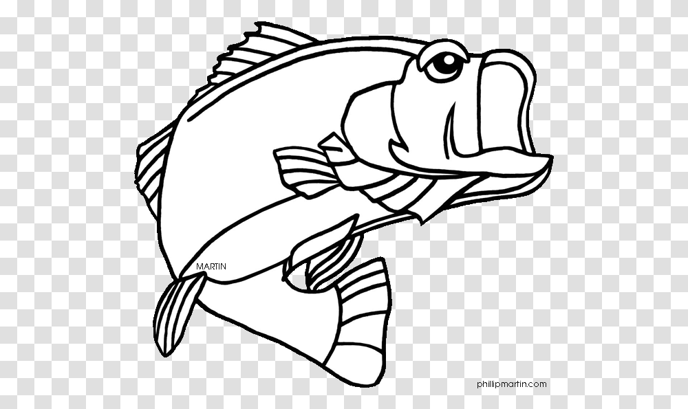 Fish Clipart Color Vector Black And White Bass Fish Largemouth Bass Florida State Fish, Animal Transparent Png