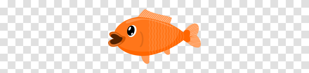 Fish Clipart Free Clipart, Animal, Goldfish Transparent Png