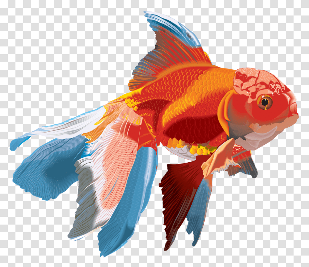 Fish Clipart Images Free Download, Goldfish, Animal, Bird Transparent Png