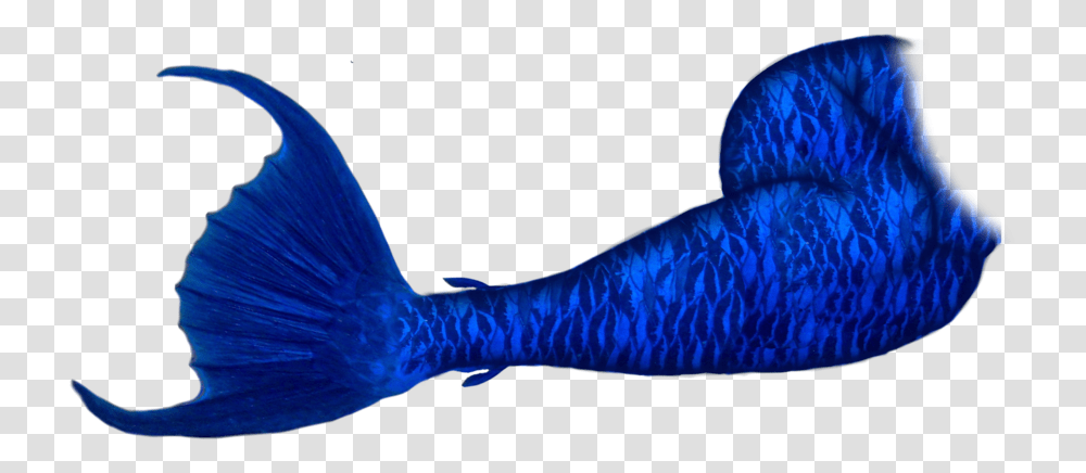 Fish Clipart Mermaid Mermaid Tails, Animal, Bird, Sea Life, Mammal Transparent Png