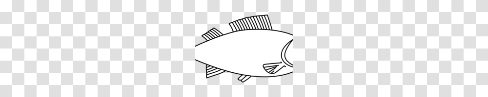 Fish Clipart Outline Easy Long Fish Drawings Fish Outline Clip, Animal, Sea Life, Halibut, Flounder Transparent Png