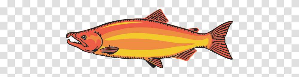 Fish Clipart Salmon, Animal, Tuna, Sea Life, Halibut Transparent Png