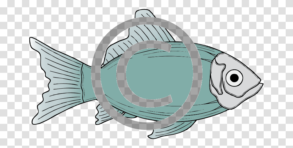 Fish Clipart, Outdoors, Nature Transparent Png