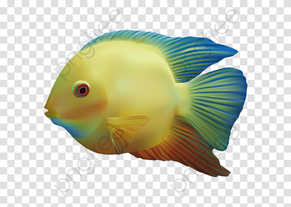 Fish Clipart The Underwater Clipart Background Fish, Animal, Surgeonfish, Sea Life, Angelfish Transparent Png