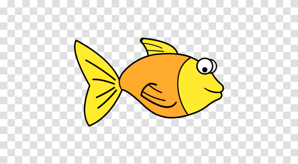 Fish Clipart Vector And Free Download The Graphic Cave, Animal, Goldfish, Rock Beauty, Sea Life Transparent Png