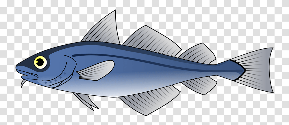 Fish Cod Clipart Collection Codfish Etc Fish Respiratory System, Tuna, Sea Life, Animal, Bonito Transparent Png