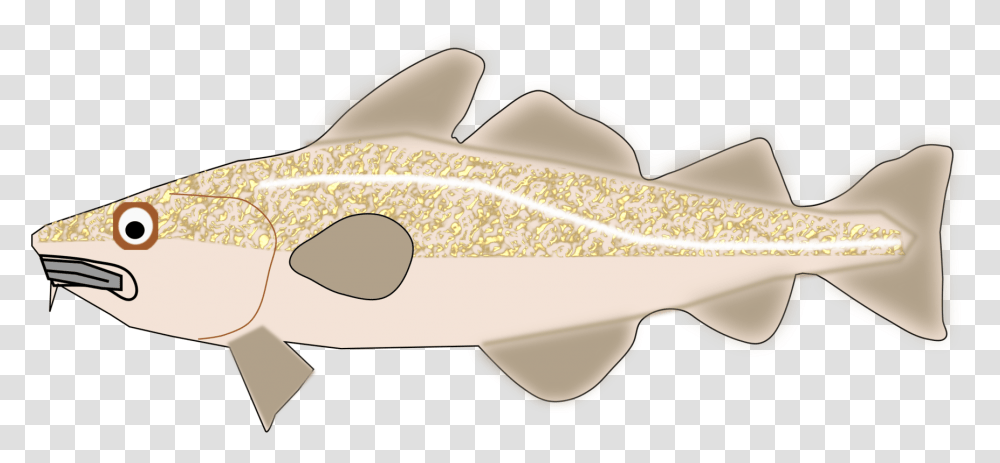 Fish Cod Trout Clipart Cod, Animal Transparent Png
