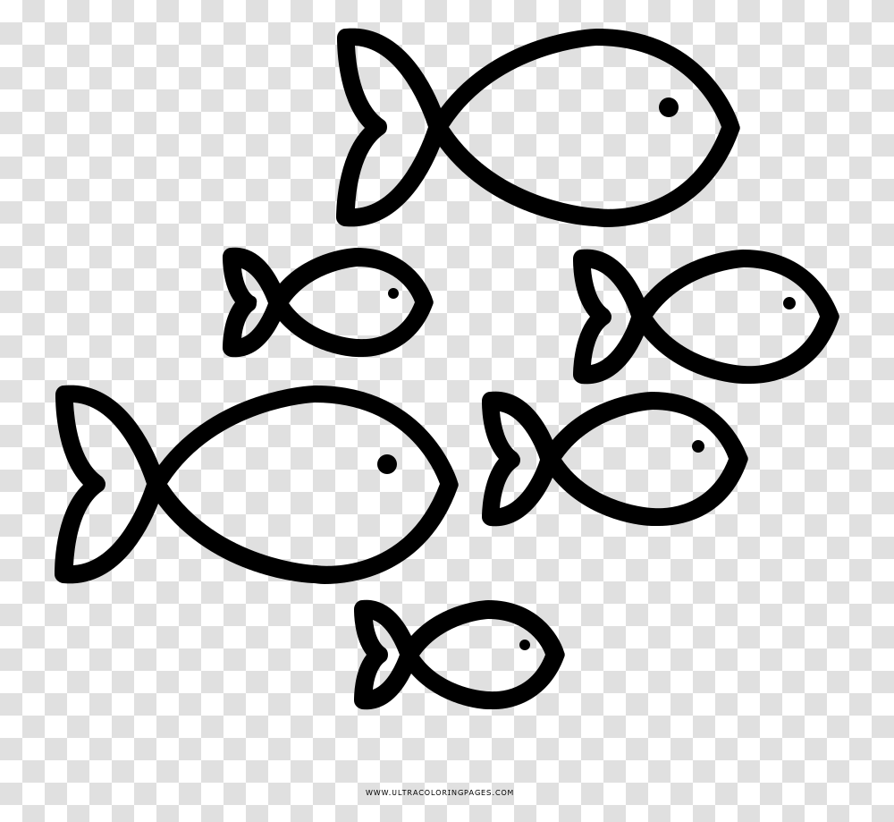 Fish Coloring, Gray, World Of Warcraft Transparent Png