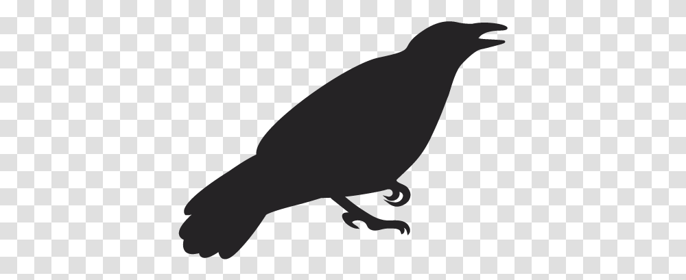 Fish Crow, Animal, Bird, Silhouette, Quail Transparent Png