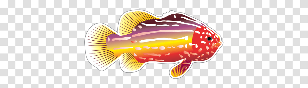 Fish Drawing Clip Art Background Fish Swimming Gif, Animal, Carp, Goldfish, Coho Transparent Png