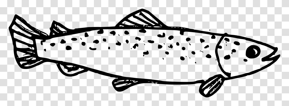 Fish Drawing, Gray, World Of Warcraft Transparent Png