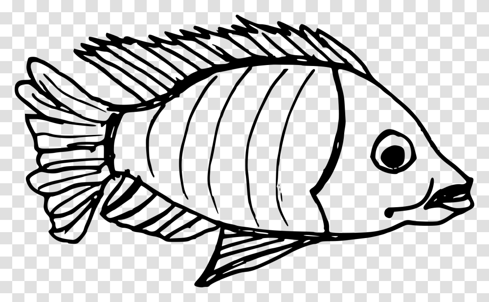 Fish Drawing, Gray, World Of Warcraft Transparent Png