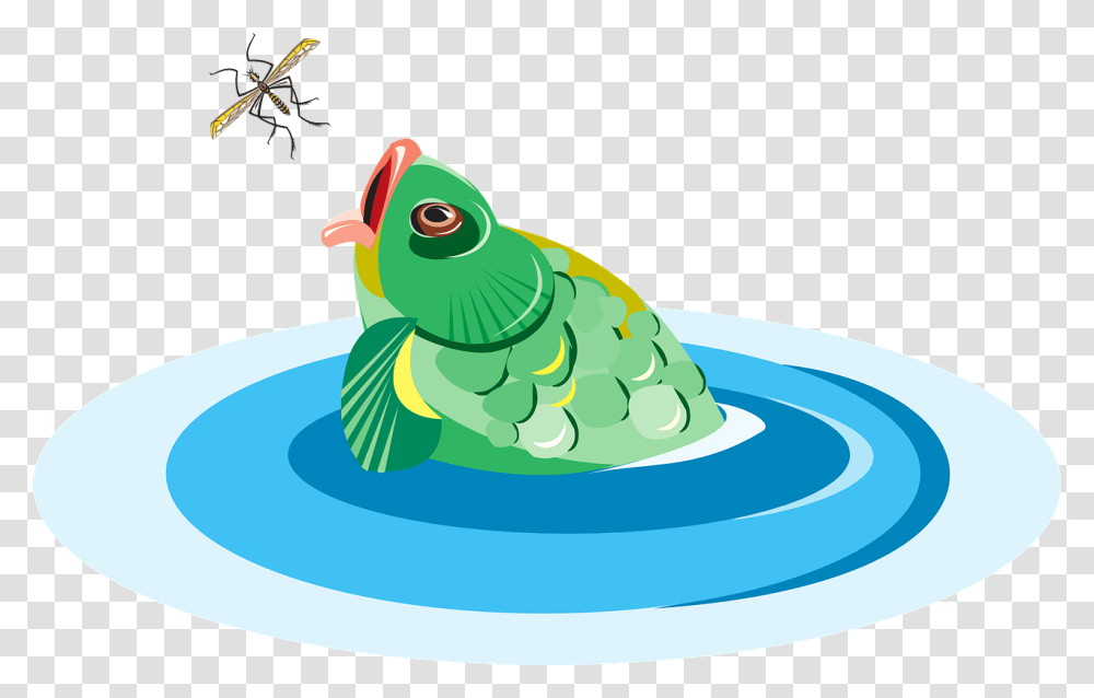 Fish Eating Bug Clipart, Animal, Invertebrate, Insect, Toy Transparent Png