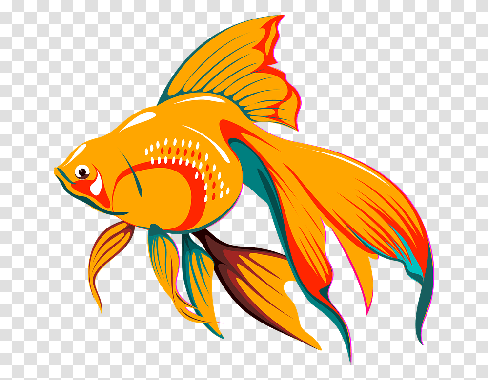 Fish Fins And Tail Cliparts, Goldfish, Animal Transparent Png