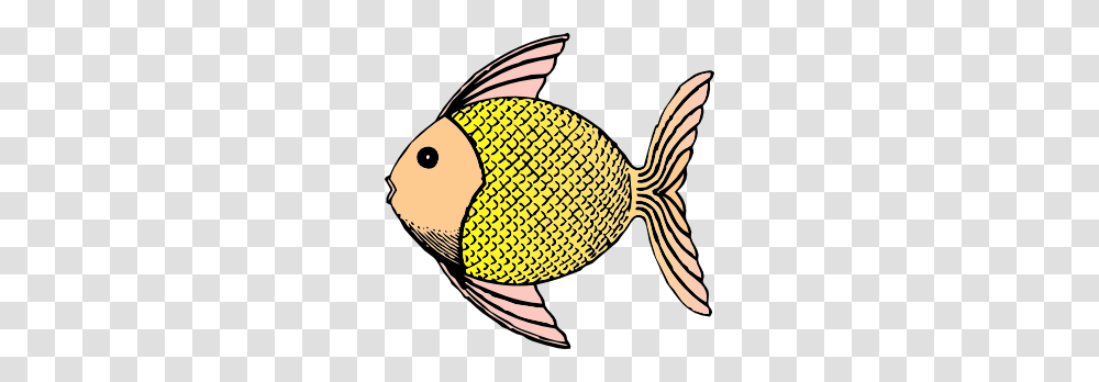 Fish Food Clipart, Animal, Amphiprion, Sea Life, Angelfish Transparent Png