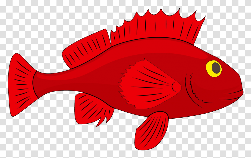 Fish For Taiapure Ocean Clipart Fish Images Cartoon, Animal, Sea Life Transparent Png