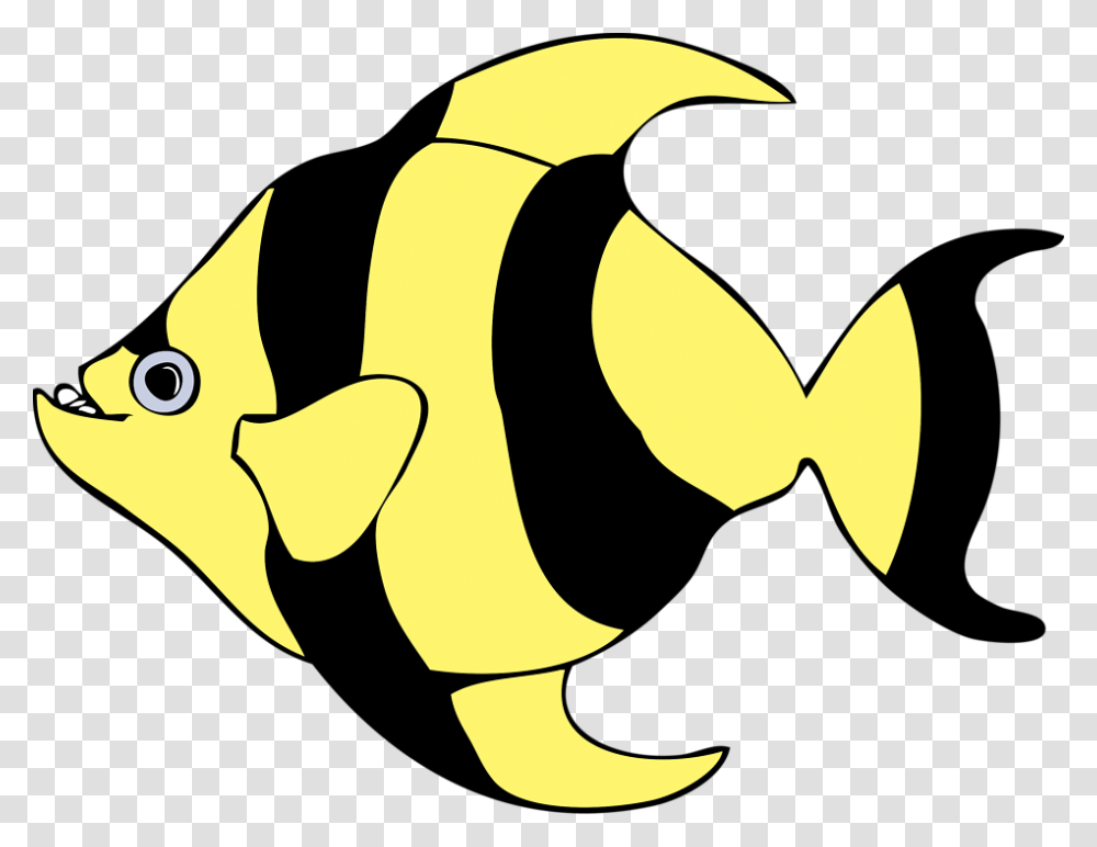 Fish Free Stock Photo Illustration Of A Yellow Striped, Animal, Rock Beauty, Sea Life Transparent Png