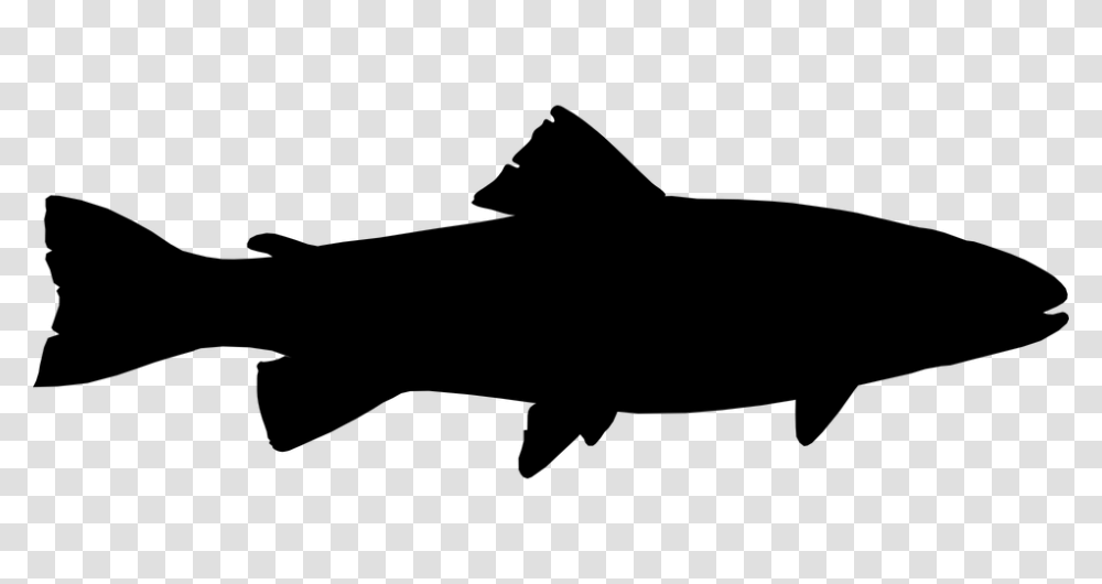 Fish Graphic Image Group, Gray, World Of Warcraft Transparent Png