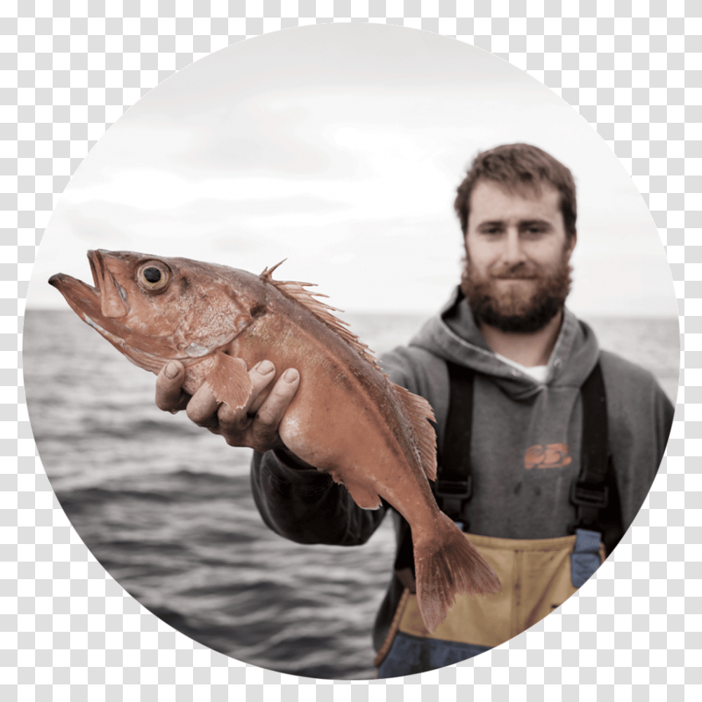 Fish Group, Person, Coho, Animal, Cod Transparent Png