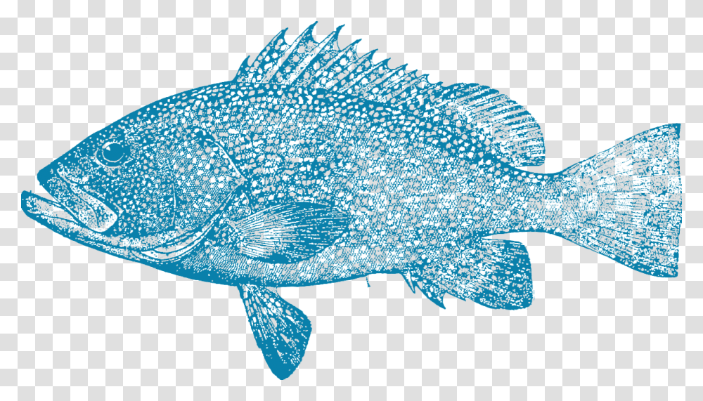 Fish Group, Gray, Texture, Green Transparent Png