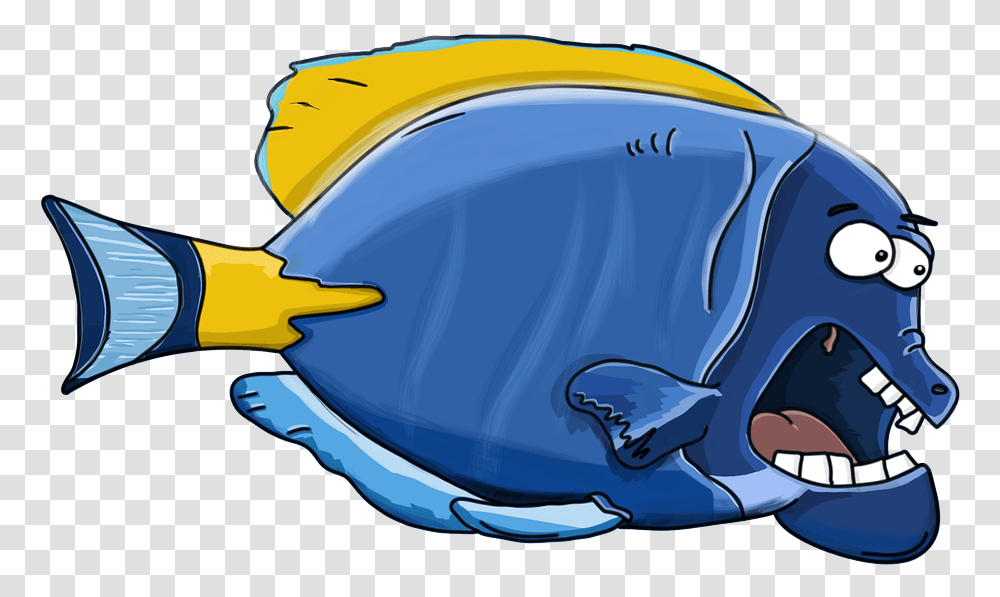 Fish, Helmet, Apparel, Sea Life Transparent Png