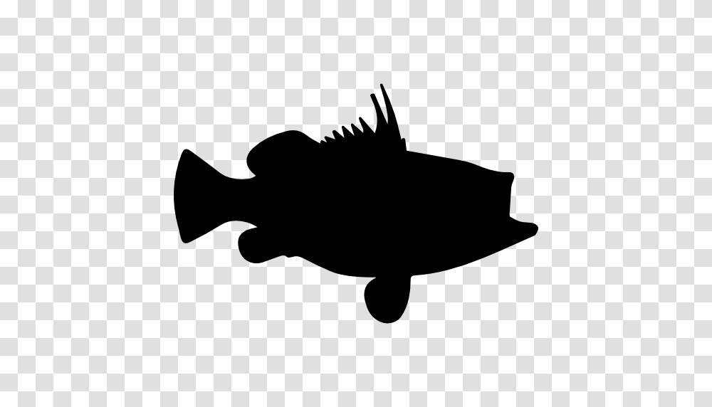 Fish Icon, Silhouette, Stencil, Animal, Amphiprion Transparent Png