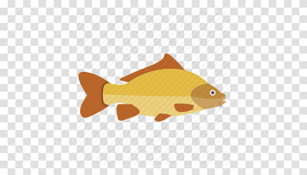 Fish Icons, Animal, Carp, Goldfish, Perch Transparent Png
