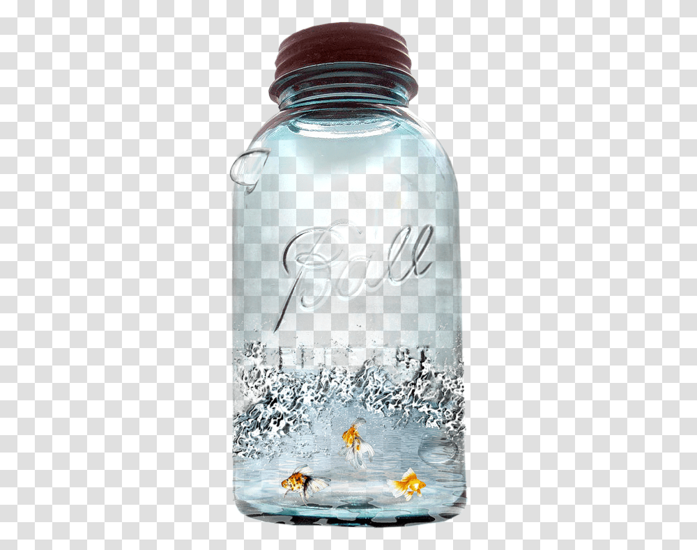 Fish In Bottle Photo Free Download Poisson Dans Pot Masson, Bicycle, Bird, Beverage, Liquor Transparent Png