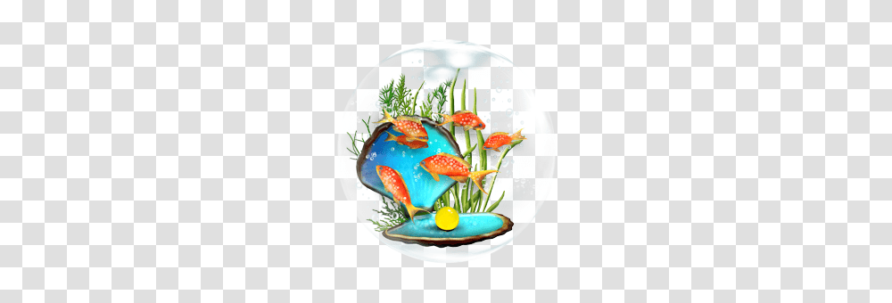 Fish In Bowl Photos Free Images Clipart, Tabletop, Food, Seasoning, Plant Transparent Png