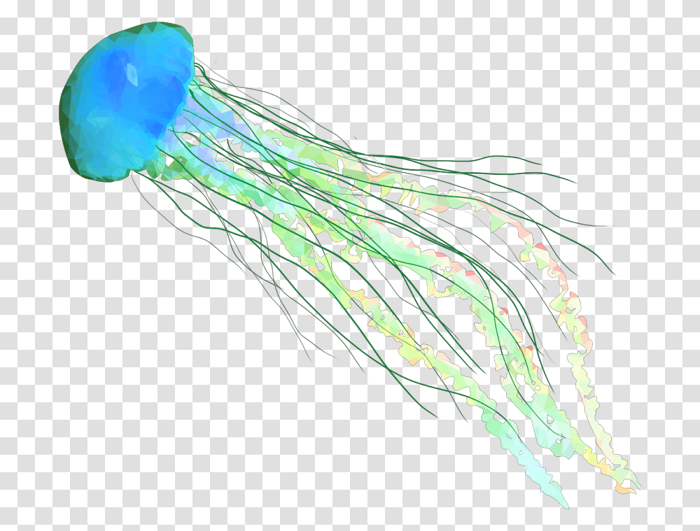 Fish Jellyfish Jellyfishes Ocean Beach Sea Water, Sea Life, Animal, Snake, Reptile Transparent Png